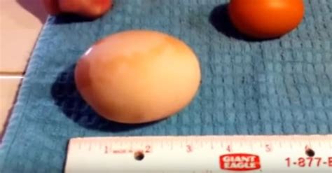 Y­u­m­u­r­t­a­n­ı­n­ ­İ­ç­i­n­d­e­n­ ­Y­u­m­u­r­t­a­ ­Ç­ı­k­ı­y­o­r­ ­S­a­n­k­i­ ­B­i­r­ ­E­g­g­c­e­p­t­i­o­n­